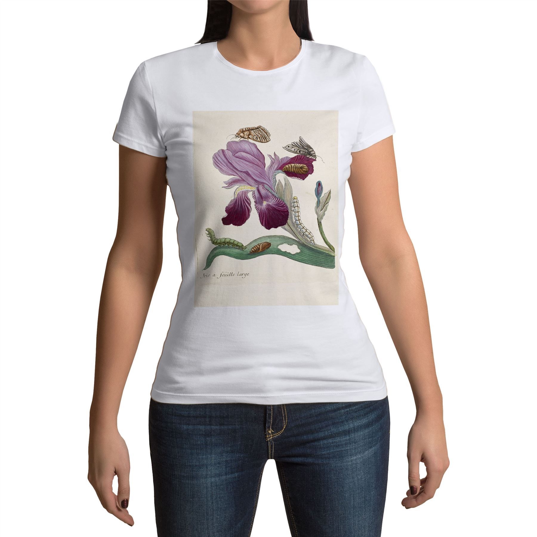 T-Shirt Femme Col Rond Iris Papillons Chenilles Planche Illustration Botanique Ancienne Fleurs