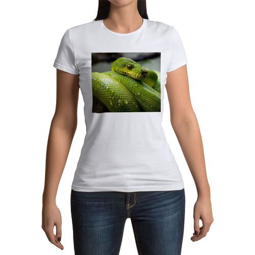 T-Shirt Femme Col Rond Python Vert Sublime Serpent Photo Nature Sauvage Reptile