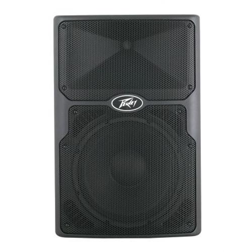 PEAVEY - PVX 15