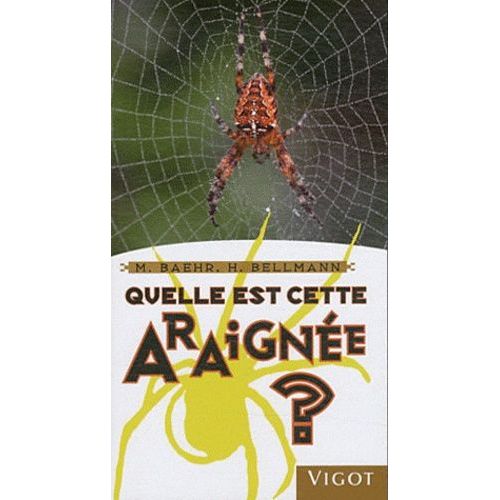 Quelle Est Cette Araignée ?