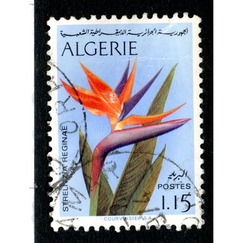 Timbre Oblitéré Algérie, Strelitzia Reginae , Postes, 1.15