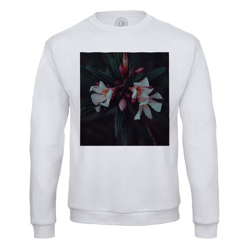 Sweat Shirt Homme Magnifique Photo Fleur Rose Floraison Deco