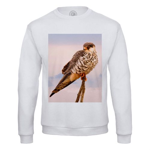Sweat Shirt Homme Faucon Posé Sur Une Branche Nature Sauvage Rapace