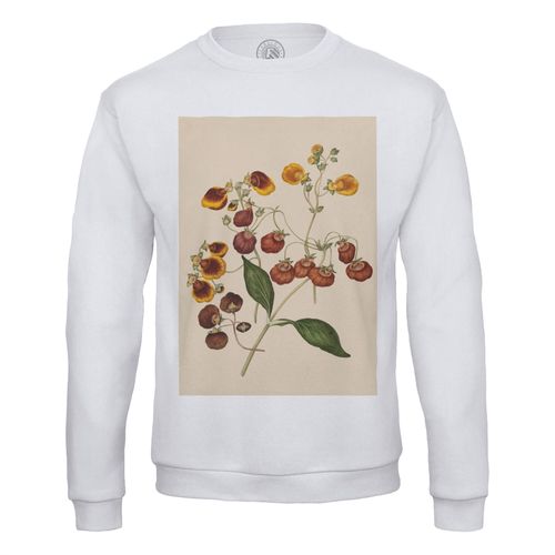 Sweat Shirt Homme Illustration Botaniques Ancienne Fleurs Exotiques