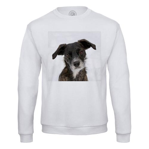 Sweat Shirt Homme Petit Chien Noir Dans La Neige Mignon Animal De Compagnie