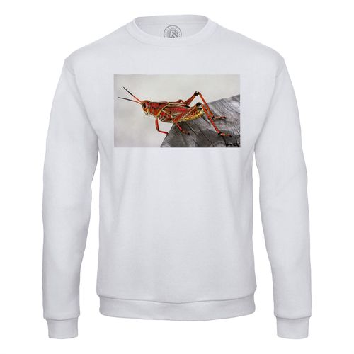 Sweat Shirt Homme Superbe Sauterelle Rouge Insecte Animal Photo