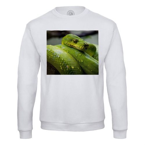 Sweat Shirt Homme Python Vert Sublime Serpent Photo Nature Sauvage Reptile