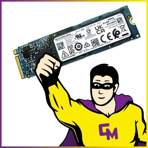 SSD NVMe M.2 2280 256Go Kioxia KXG60ZNV256G XG6 P/N L38666-001
