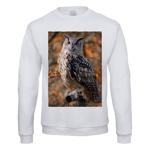 Sweat Shirt Homme Hibou Sur Une Branche En Automne Foret Animal Sauvage