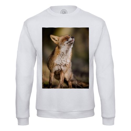 Sweat Shirt Homme Renard Bain De Soleil Mignon Animal Sauvage Nature Photo