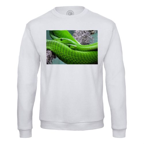 Sweat Shirt Homme Couple Python Vert Superbe Reptiles Animaux Sauvages Nature