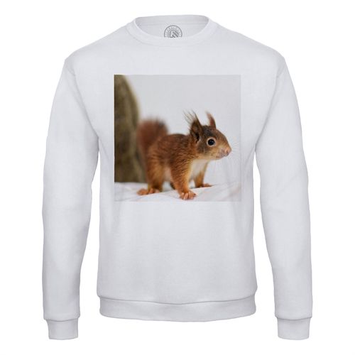 Sweat Shirt Homme Ecureuil Trop Mignon Animal Sauvage Nature Photo Interieur