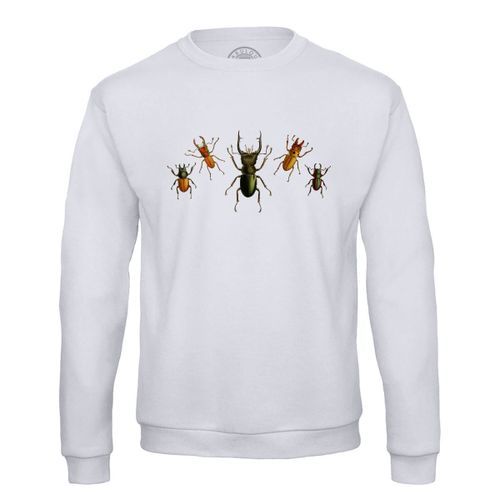 Sweat Shirt Homme Scarabées Planches Insectes Biologie Illustration Ancienne