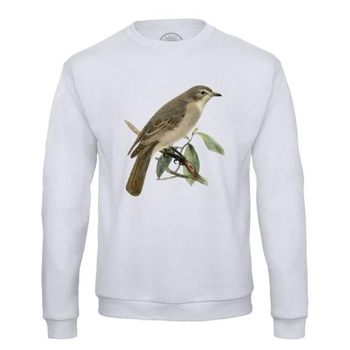 Sweat Shirt Homme Oiseau Perché Planches Biologie Faune Illustration Ancienne