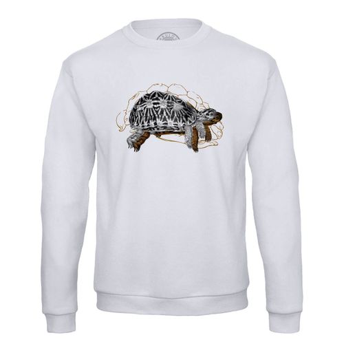Sweat Shirt Homme Tortue Minimaliste Biologie Illustration Ancienne