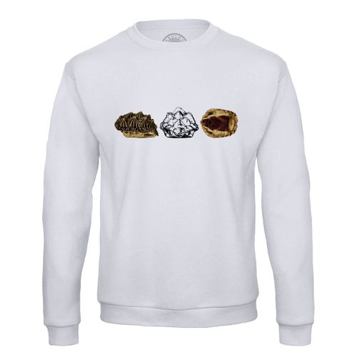 Sweat Shirt Homme Carapace Tortue Minimaliste Biologie Illustration Ancienne