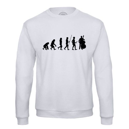 Sweat Shirt Homme Evolution Contrebasse Classique Orchestre Instrument Musicien