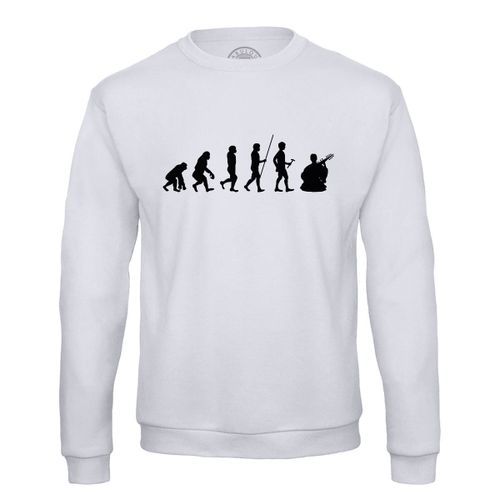Sweat Shirt Homme Evolution Sarod Inde Musique Instrument Musicien