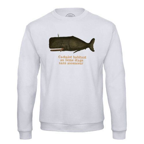 Sweat Shirt Homme Cachalot Du 5ème Etages Planches Biologie Illustration