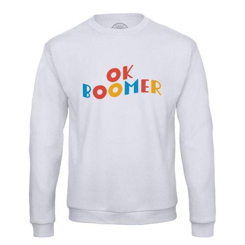 Sweat Shirt Homme Ok Boomer Humour Internet Web Meme