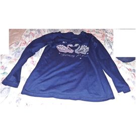 Lot De 5 Tshirts Fille Taille 12-14 Ans ..