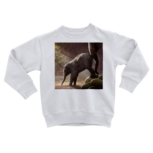 Sweatshirt Enfant Bebe Elephant Et Sa Maman Riviere Photo Nature Mignon