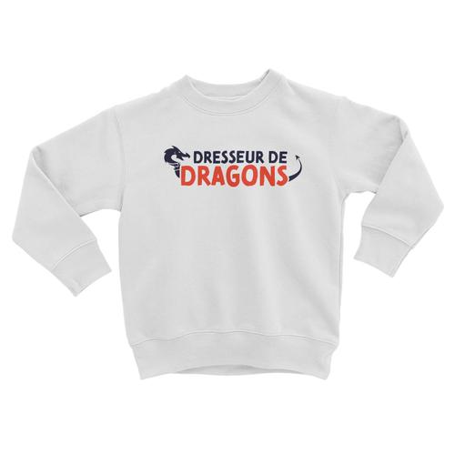Sweatshirt Enfant Dresseur De Dragons Enfant Film Mythe Rêve