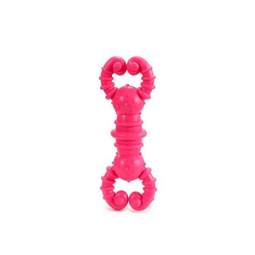 Jouet Pour Chien Silicone (12 X 2 X 4 Cm)