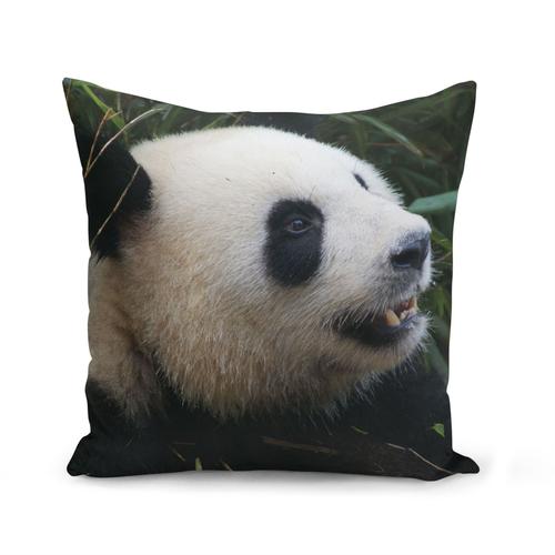 Housse De Coussin 40x40 Cm Gros Plan De Bebe Panda / Vie Sauvage / Bebe Animaux