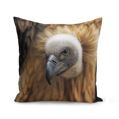 Housse De Coussin 40x40 Cm Gros Plan Sur Un Vautour Fauve (Griffon) Vie Sauvage Oiseau