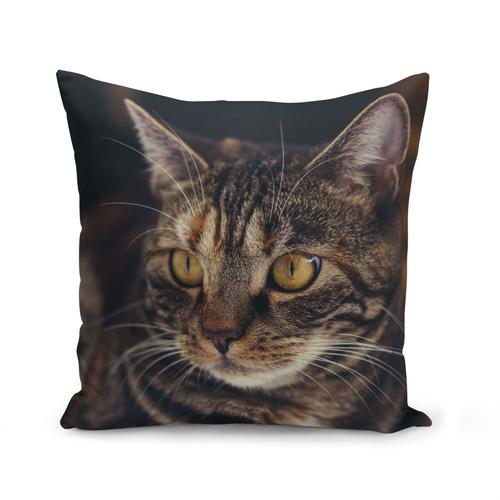 Housse De Coussin 40x40 Cm Sublime Chat Tigre Grands Yeux Jaunes Mignon