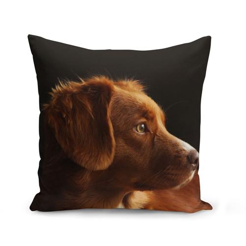 Housse De Coussin 40x40 Cm Portrait Chien De Chasse Marron Magnifique Yeux Jaunes Mignon