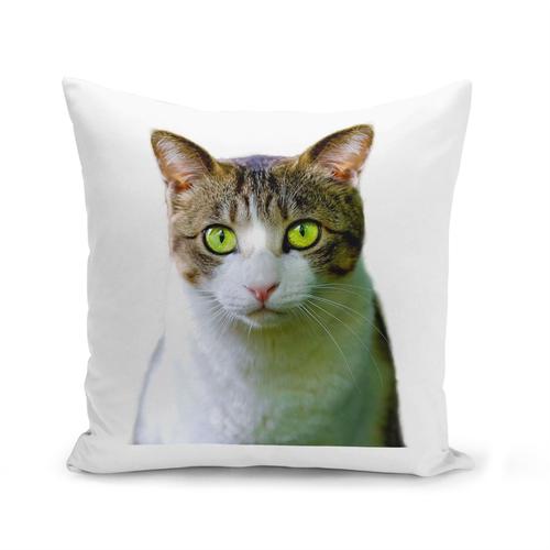 Housse De Coussin 40x40 Cm Chat Europeen Blanc Et Tigre Yeux Verts Mignon