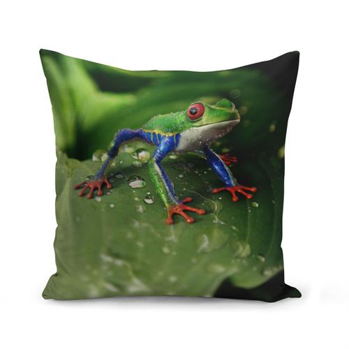 Housse De Coussin 40x40 Cm Grenouille Exotique Multicolor Magnifique Photo Gros Plan