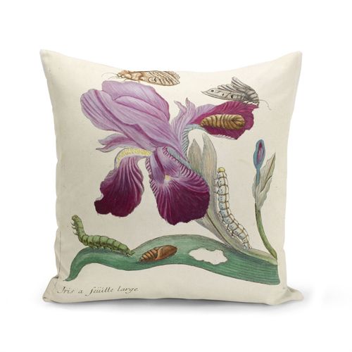 Housse De Coussin 40x40 Cm Iris Papillons Chenilles Planche Illustration Botanique Ancienne Fleurs