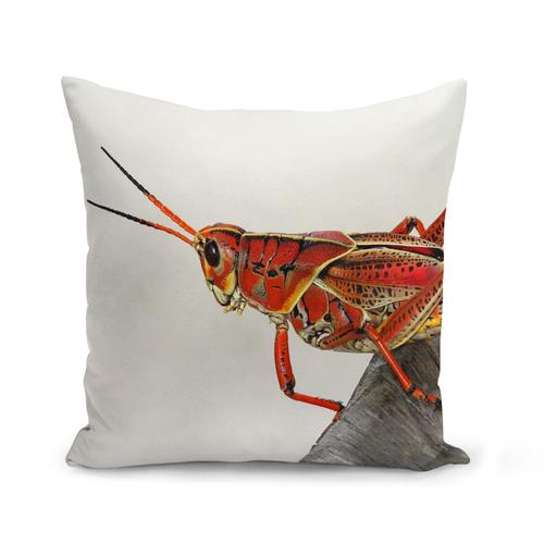 Housse De Coussin 40x40 Cm Superbe Sauterelle Rouge Insecte Animal Photo