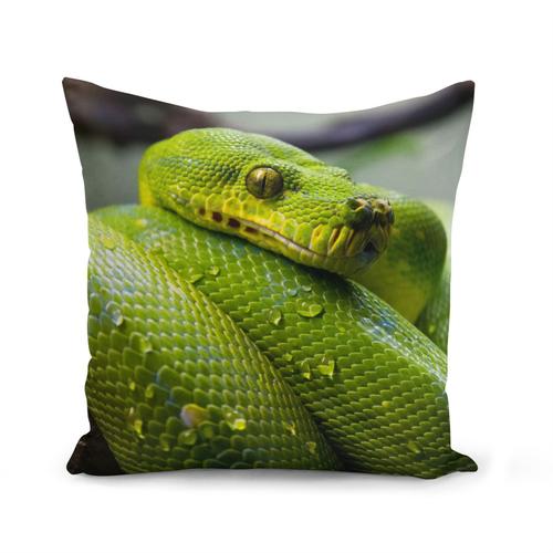 Housse De Coussin 40x40 Cm Python Vert Sublime Serpent Photo Nature Sauvage Reptile