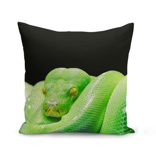 Housse De Coussin 40x40 Cm Python Vert Serpent Photo Nature Sauvage Reptile