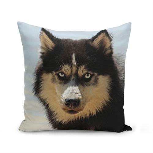 Housse De Coussin 40x40 Cm Husky Chien Loup Noir Portrait Yeux Bleus Plage