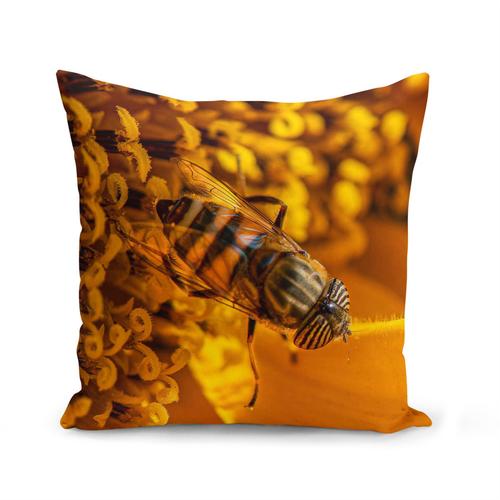 Housse De Coussin 40x40 Cm Insecte Volant Butine Polen Photo Macro Fleur