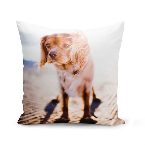 Housse De Coussin 40x40 Cm Cavalier King Charles A La Plage Petit Chien Marron Mignon