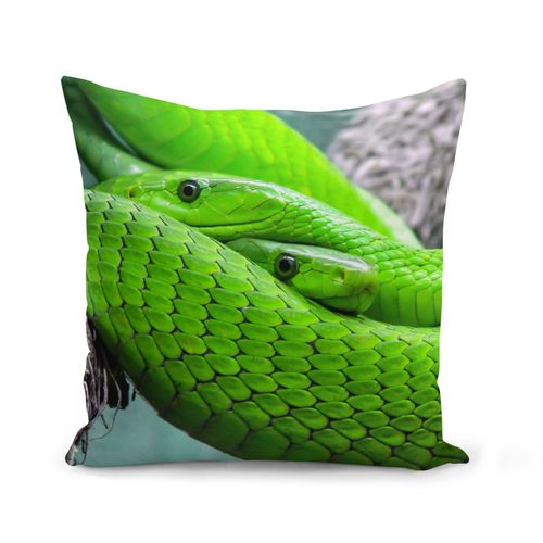 Housse De Coussin 40x40 Cm Couple Python Vert Superbe Reptiles Animaux Sauvages Nature