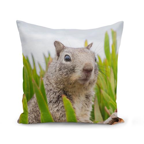 Housse De Coussin 40x40 Cm Marmotte Dans L'herbe Animal Sauvage Mignon Photo Nature