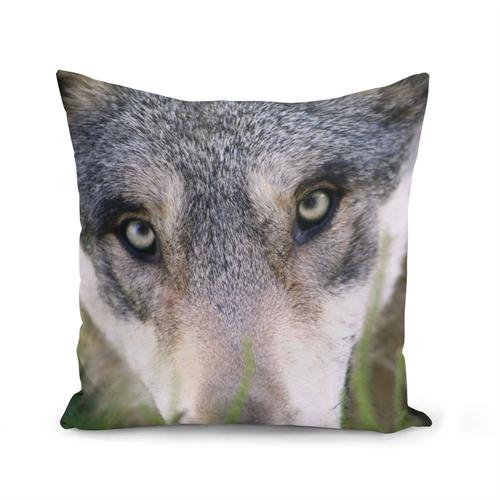 Housse De Coussin 40x40 Cm Gros Plan Yeux Loup Photo Nature Animal Sauvage