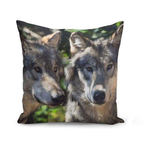 Housse De Coussin 40x40 Cm Magnifique Couple De Loup Photo Nature Animaux Sauvages