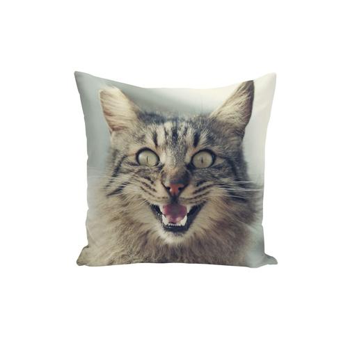 Housse De Coussin Chat Brun Tigré Qui Parle Mignon Animaux 40x40cm