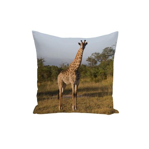 Housse De Coussin Photo De Girafe Nature Savane Faune Sauvage Animaux 40x40cm