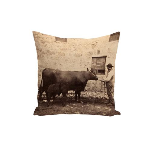 Housse De Coussin Vieille Photo Sépia Fermier Et Sa Vache Veau Boeuf Original 40x40cm