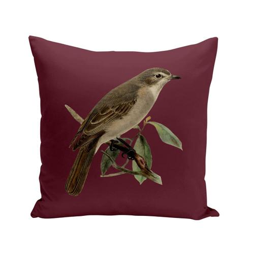 Housse De Coussin 40x40 Cm Oiseau Perché Planches Biologie Faune Illustration Ancienne