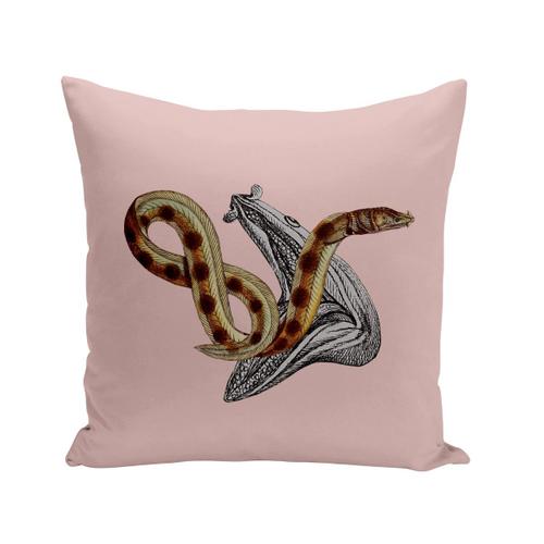 Housse De Coussin 40x40 Cm Serpent De L'infinie Biologie Illustration Ancienne